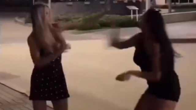Hynas in the wild fightin, damn nature you skur
