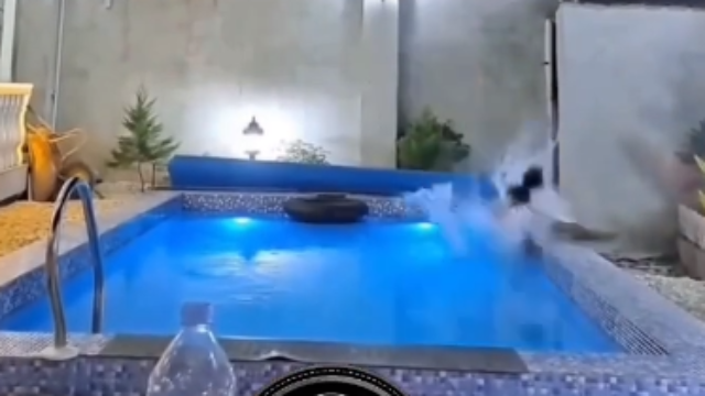 Goof over did himself jumpin into a pool
